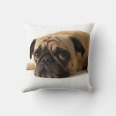 悲しいパグ クッション (裏面)