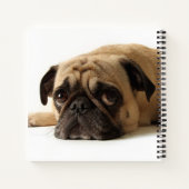 悲しいパグ ノートブック (裏面)