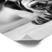 悲しいパグ ポスター (角)