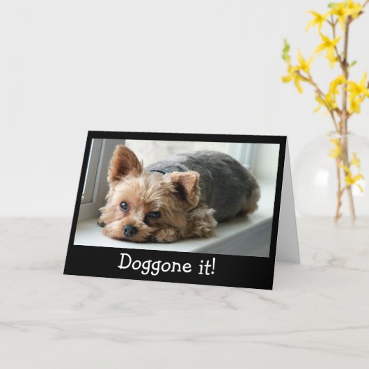 悲しいヨークシャーテリアの子犬の遅れて誕生日 カード (黄色い花)