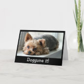 悲しいヨークシャーテリアの子犬の遅れて誕生日 カード (正面)