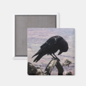 悲しいレイヴン磁石01 マグネット (正面/裏面)