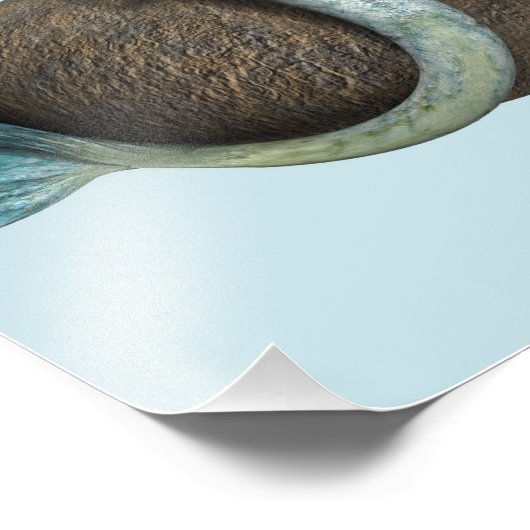 悲しい人魚 フォトプリント            (角)