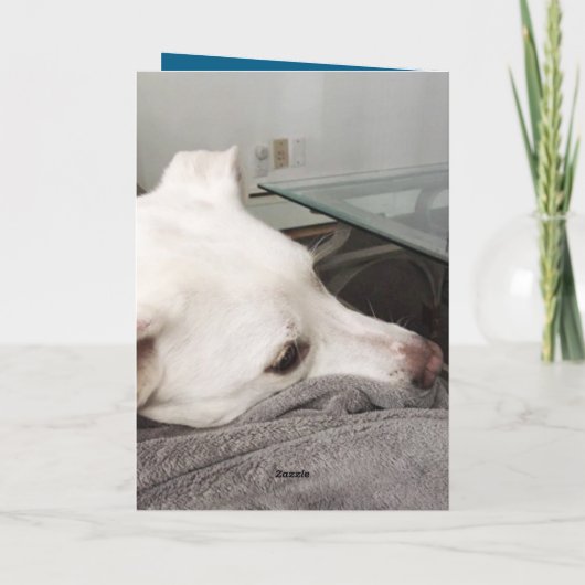 悲しい子犬とパパ残念な損失悔やみや弔慰 カード (裏面)