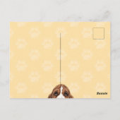 悲しい子犬はがきあなたはここに幸せ ポストカード (裏面)