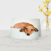 悲しい子犬恋しく思のお前 カード (黄色い花)