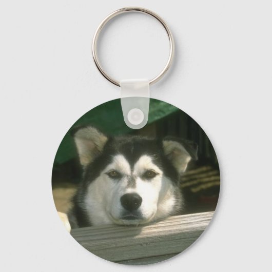 悲しい子犬 キーホルダー (正面)