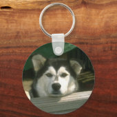 悲しい子犬 キーホルダー (正面)