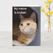 悲しい子猫は「ハッピーバースデー」と言うが本人ではない カード (黄色い花)