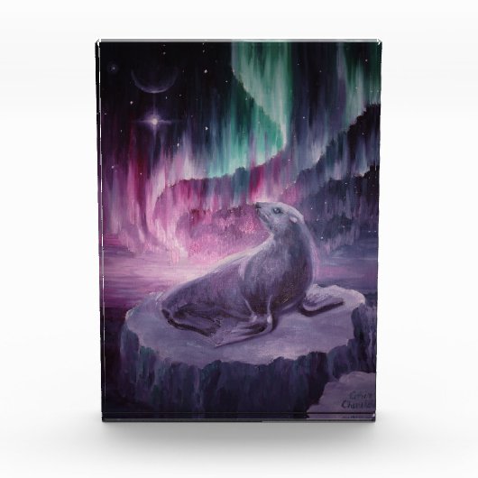 悲しい孤独なアザラシ フォトブロック (正面)