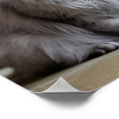 悲しい孤独なペットのポスタープリントもし：私は消えた ポスター (角)