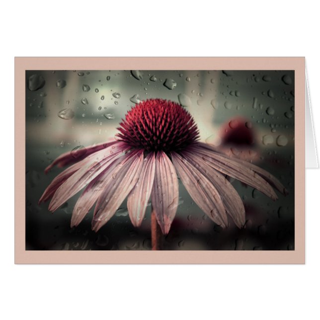 悲しい孤独 (正面横)