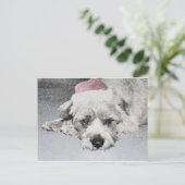 悲しい小さなクリスマス犬 シーズンポストカード (スタンド正面)