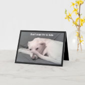 悲しい憂鬱な犬の写真40歳の誕生日グレー カード (黄色い花)