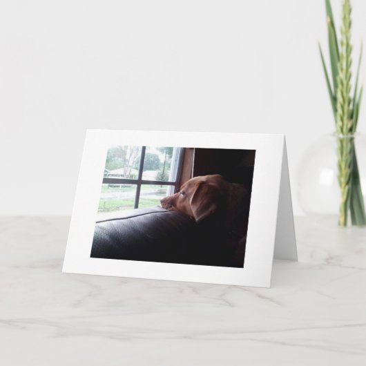 悲しい犬が「恋しく思お前は誕生日だ」と言う カード (正面)