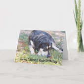 悲しい犬の恋しく思誕生日ベレット誕生日カード カード (正面)