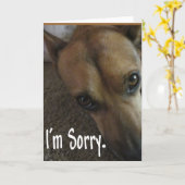 『悲しい犬』 カード (黄色い花)