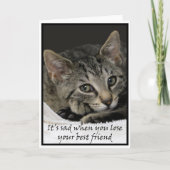 悲しい猫は、ペットを亡くしたことへの哀悼の意を表する カード (正面)