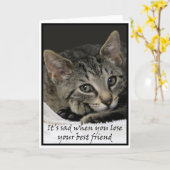 悲しい猫は、ペットを亡くしたことへの哀悼の意を表する カード (黄色い花)