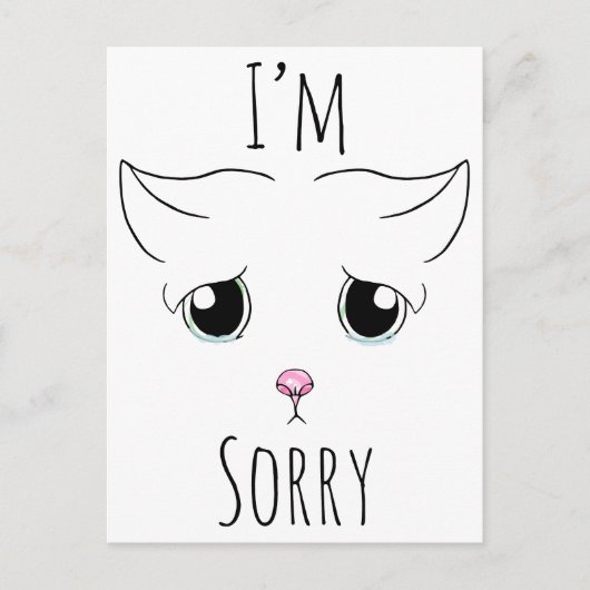 悲しい猫顔:ごめんなさい ポストカード (正面)