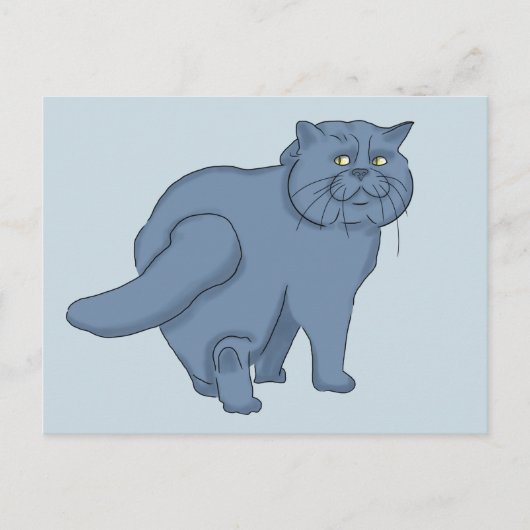悲しい猫。ブリティッシュ猫 ポストカード (正面)