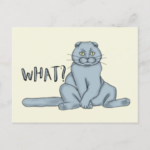 悲しい猫 – 何? ポストカード