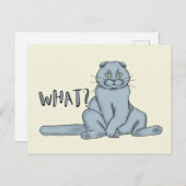 悲しい猫 – 何? ポストカード (正面/裏面)