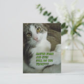 悲しい目のはがき ポストカード (スタンド正面)