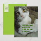 悲しい目のはがき ポストカード (正面/裏面)