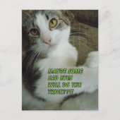 悲しい目のはがき ポストカード (正面)