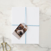 悲しい目のコッカースパニエル犬犬 ギフトタグ (より糸付き)