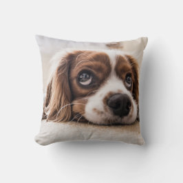悲しい目のコッカースパニエル犬犬 クッション