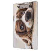 悲しい目のコッカースパニエル犬犬 クリップボード (左)