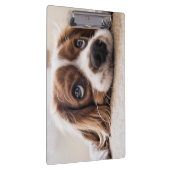 悲しい目のコッカースパニエル犬犬 クリップボード (右)