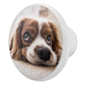 悲しい目のコッカースパニエル犬犬 セラミックノブ (右)