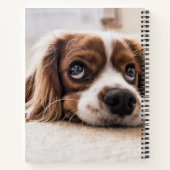 悲しい目のコッカースパニエル犬犬 ノートブック (裏面)