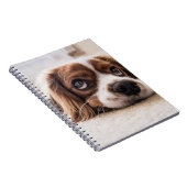悲しい目のコッカースパニエル犬犬 ノートブック (右側)