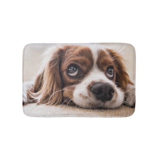 悲しい目のコッカースパニエル犬犬 バスマット (正面)