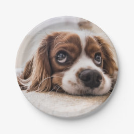 悲しい目のコッカースパニエル犬犬 ペーパープレート