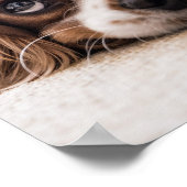 悲しい目のコッカースパニエル犬犬 ポスター (角)