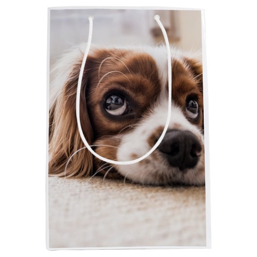 悲しい目のコッカースパニエル犬犬 ミディアムペーパーバッグ (正面)