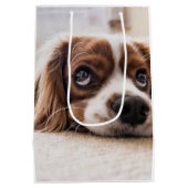 悲しい目のコッカースパニエル犬犬 ミディアムペーパーバッグ (裏面)