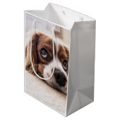 悲しい目のコッカースパニエル犬犬 ミディアムペーパーバッグ (裏面アングル)