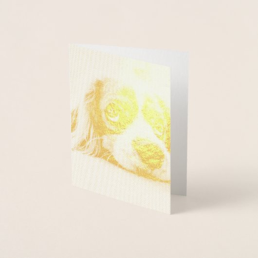 悲しい目のコッカースパニエル犬犬 箔カード (正面)