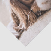 悲しい目のコッカースパニエル犬犬 薄葉紙 (詳細)