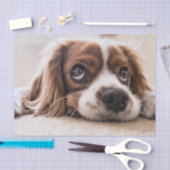 悲しい目のコッカースパニエル犬犬 薄葉紙 (クラフト)