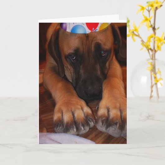 悲しい英国のマスティフの身に着けている誕生会の帽子 カード (黄色い花)