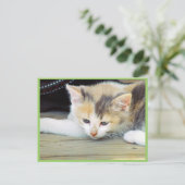 悲しい顔で床に寝そべったかわいい子猫 ポストカード (スタンド正面)