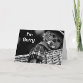 悲しい顔許してくれ カード (正面)