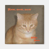 悲しい顔 マグネット (正面)